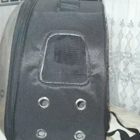 فروش کوله گربه