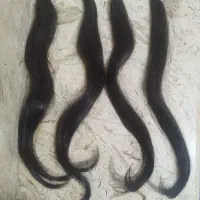 مو اکسیشن آماده نصب