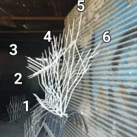 تولیدی شاخ گوزنی و حفاظ شاخ گوزنی