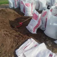 کود حیوانی مرغوب پودری مخصوص باغ گاوی وگوسفندی