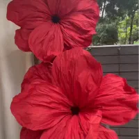 گل کاغذی و حریر|گل مصنوعی|مشهد, طلاب|دیوار