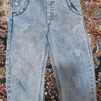 پیش بندی لی اصل