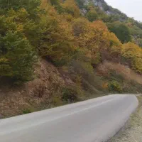 انار ملس ربی و ابگیری