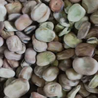 باقلا|حراج|سیمین شهر, |دیوار