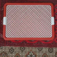 سینی ادرارسگ