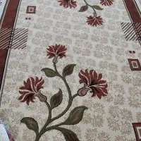 گلیم فرش ۶ متری|گلیم، جاجیم، گبه|اهواز, سپیدار|دیوار