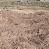 زمین مسکونی