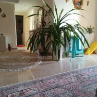 پاندانوس|گل و گیاه طبیعی|تهران, خانی‌آباد|دیوار