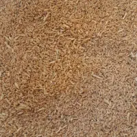 خرده گندم|لوازم جانبی حیوانات|آباده, |دیوار