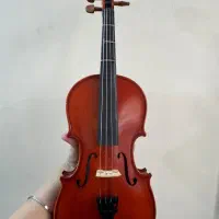 ویلن|ویولن|شهر ری, دولت‌آباد|دیوار