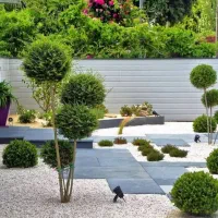 کلیه خدمات باغبانی باغ و باغچه|خدمات باغبانی و درختکاری|کرج, گوهردشت|دیوار