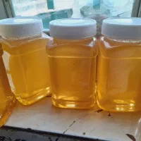 عسل گون دالاهو|خوردنی و آشامیدنی|گهواره, |دیوار