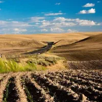 18000مترزمین-دیمی-نسق-داروقولنامه-دارفروشی