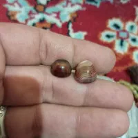 سنگ قیمتی|جواهرات|برخوار, |دیوار