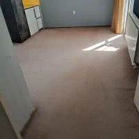 پالاز موکت
