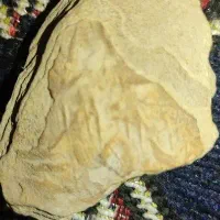 نماد باستانی یا نقش روی  سنگ
