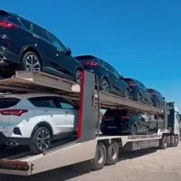 فیدلیتی و دیگنیتی لاماری لوکانو صفر نمایندگی چینی