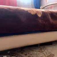 تخت خواب دو نفره|تخت و سرویس خواب|سمنان, |دیوار