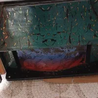 دوعدد بخاری