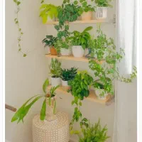 پرستار تمام وقت