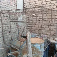 توری مرغ وکبوتر