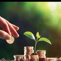 نیازمند سرمایه هستم