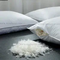 بالشت پرمرغ