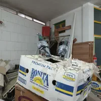 کفتر مسافتی پلاکی معاوظه با دمبی وکله دار