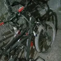 دوچرخه 24 ماکسیما