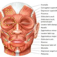 تخفیف عیدتاعید خدمات بوتاکس،ژل، مطب پزشک در کردکوی