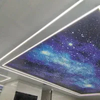 نیروی کار سقف کاذب ولاینر