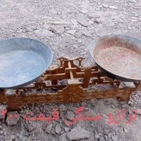 جوجه شروایی|حیوانات مزرعه|هامون, |دیوار