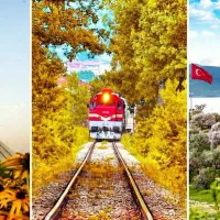 فقط واسه اونایی که بلیط گرشون نیومده|بلیت اتوبوس، مترو، قطار|قم, باغ شریفی|دیوار