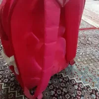 کیف|لوازم التحریر|سنندج, |دیوار