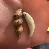 مهره حی قدیمی|جواهرات|تهران, ستارخان|دیوار