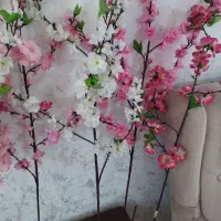 چند شاخه  گل شکوفه|گل مصنوعی|کرمانشاه, |دیوار