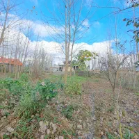 331متر-مسکونی-تو-لوکیشن-برند-با-امینت-بالا