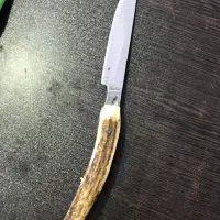 چاقو کلکسیونی