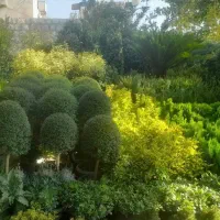 خدمات باغبانی حرفه‌ای کاشت گل باغچه کاری خاک گلدون