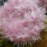 اسکاج|لوازم نظافت|کرمانشاه, |دیوار