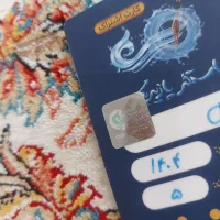 بلیط استخر پازیریک