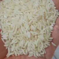 برنج ایرانی طارم فریدونکنار زیر قیمت امروز