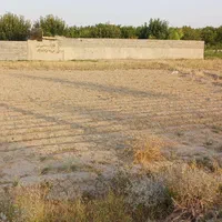 زمین کشاورزی متراژ۷۱۵ متر|فروش زمین و ملک کلنگی|مشهد, گلبرگ شمالی|دیوار