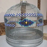 قفس طرقه