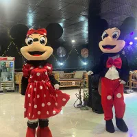 اجاره عروسک تن پوش