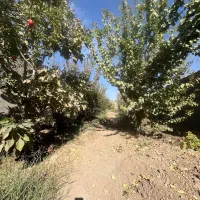 فروش باغ پونصد متری|فروش زمین و ملک کلنگی|بهارستان, |دیوار