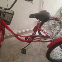 سه چرخه بزرگسال