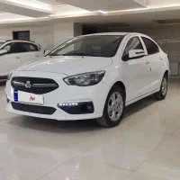 شاهین 1404(خوش قیمت)