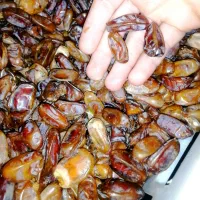 خرما سیس(بدون هسته)