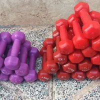 وزنه دمبل و وزنه یک کیلویی روکش دار|تجهیزات ورزشی|تاکستان, |دیوار